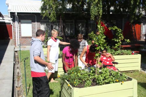 kruietuin-2014-2