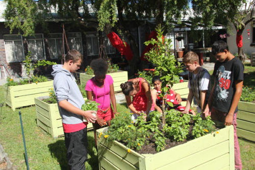 kruietuin-2014-9